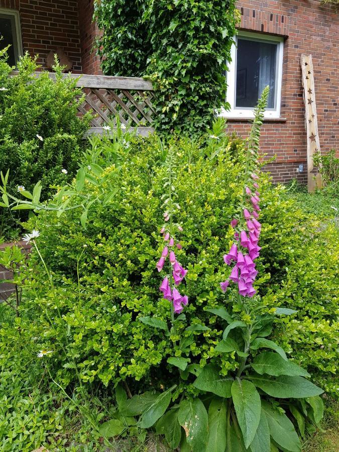 Ferienwohnung Im Naturgarten Шнефердинген Экстерьер фото